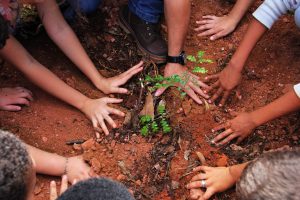 CAPA-Programa-Parque-Educador-300x200 Inscrições para o Parque Educador estão abertas até o dia 25/2 – Secretaria de Estado de Educação